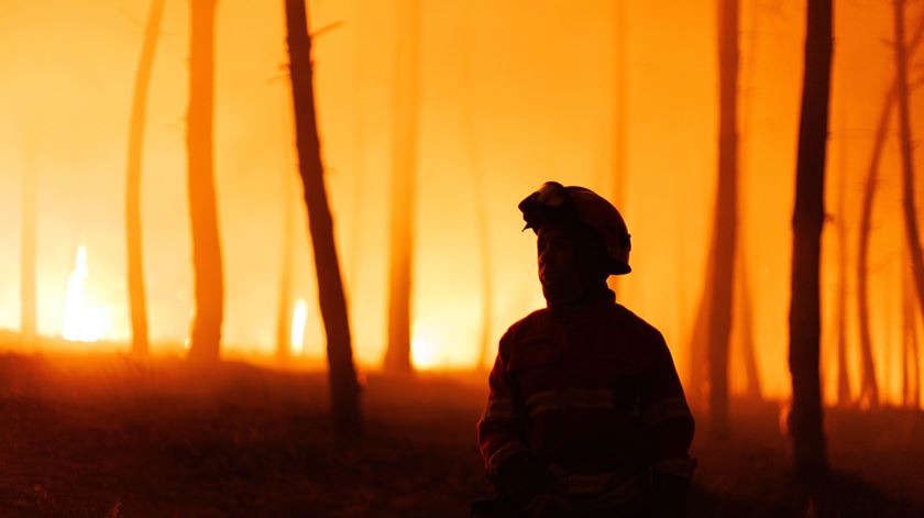 Um em cada quatro fogos no final de julho começaram à noite