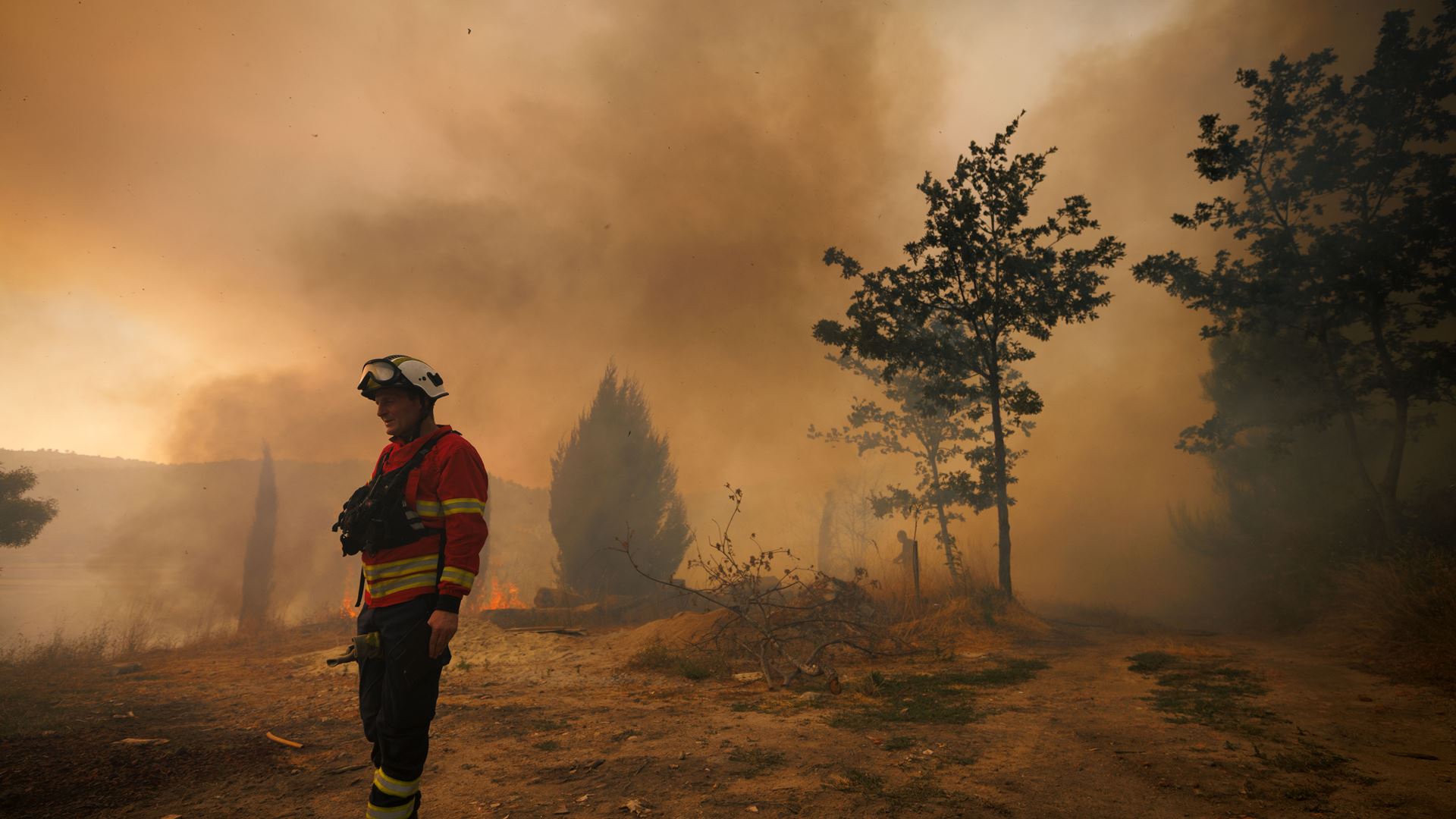 Incêndios. Autarca de Vila Real fala em "danos irreparáveis"