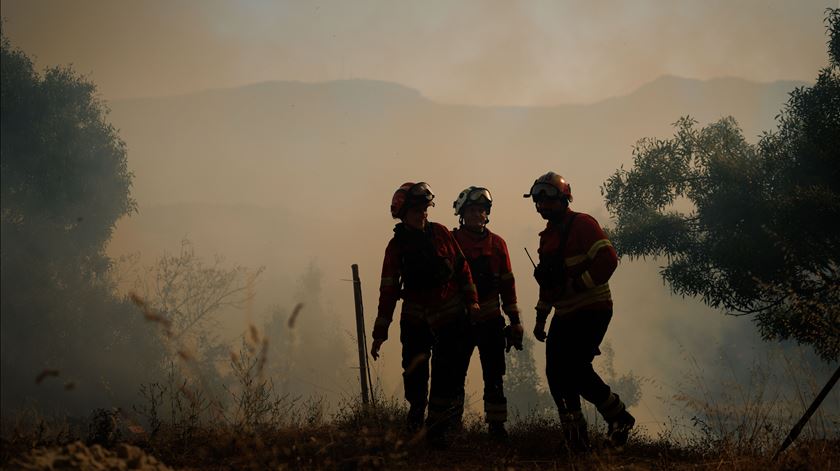 Incêndios. Detido suspeito de fogo posto no concelho de Amares