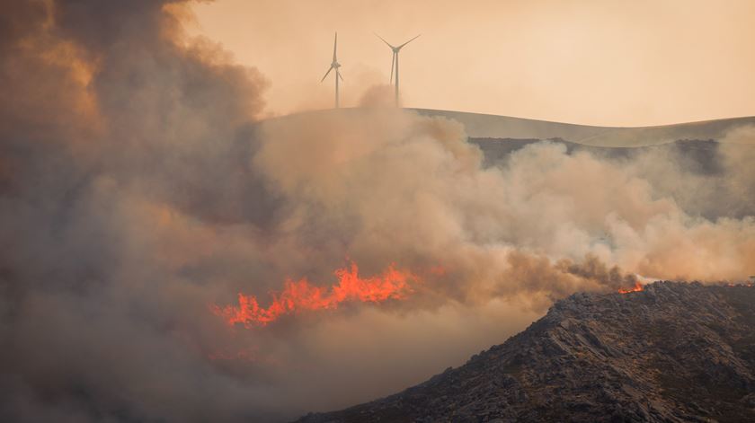 Incêndios por controlar em Trancoso, Ribeira de Pena e Vila Real. Quase 1.800 bombeiros no terreno em todo o país