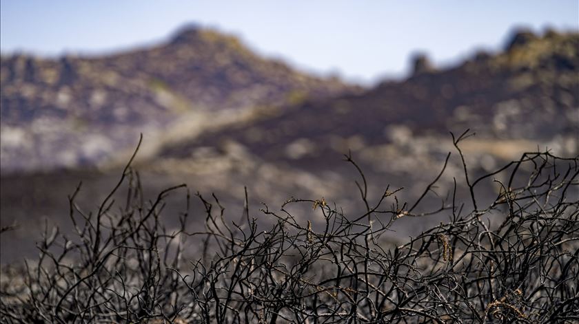 É "urgentíssimo" evitar derrocadas e a contaminação da água após incêndios, diz ministra