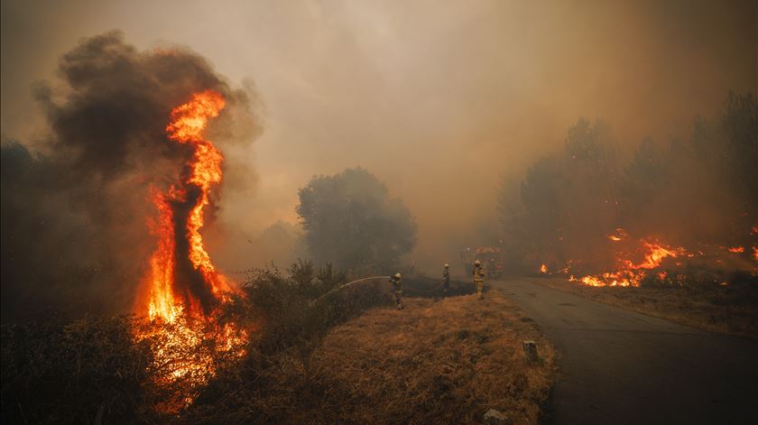 Proprietário de terreno onde começou incêndio em Águeda constituído arguido