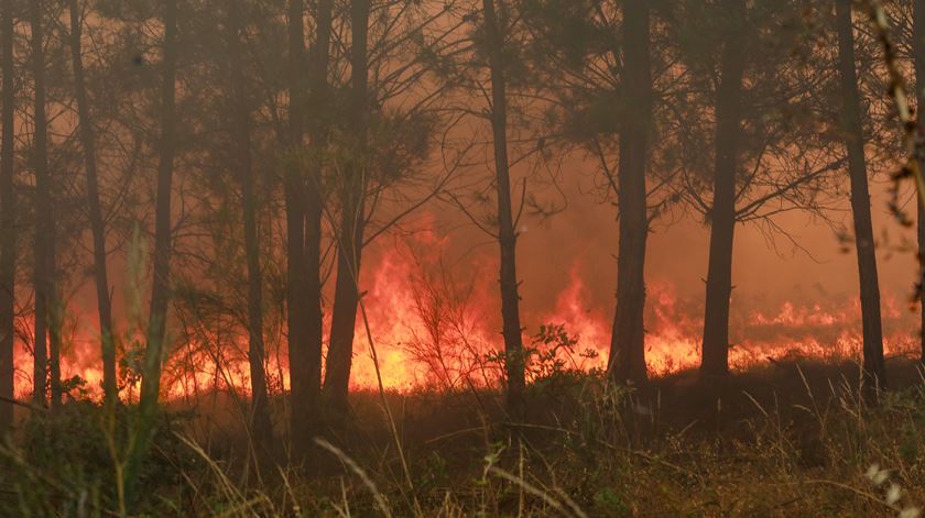 Incêndios: Ambientalista alerta para perigos da poluição