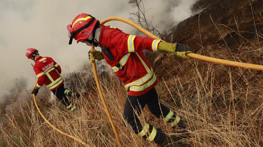 Incêndios. PJ deteve suspeito de atear fogo em Murça
