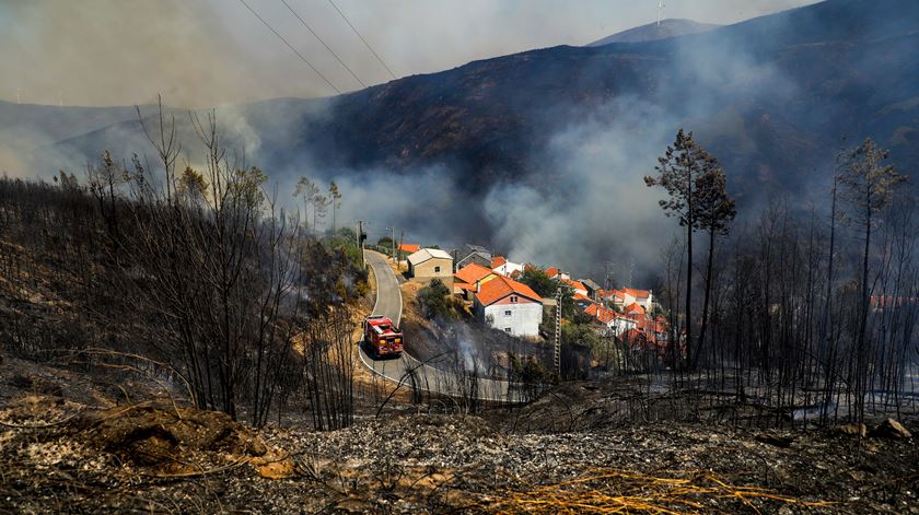 Seis incêndios que deflagraram à noite representam um terço da área ardida
