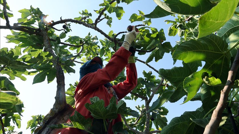 A Europa está a virar as costas aos agricultores?