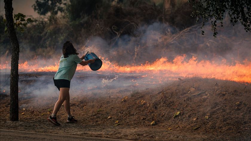 Abandono de terrenos, idade dos proprietários e alterações climáticas ajudam a explicar fogos deste ano