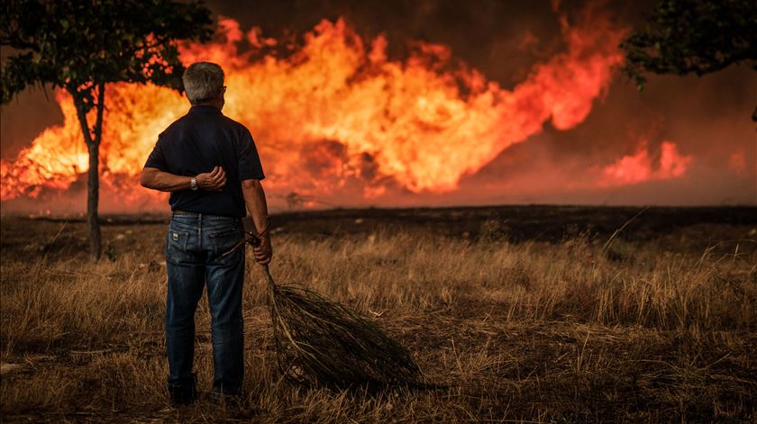 PJ detém dois suspeitos de atear fogos florestais no distrito da Guarda