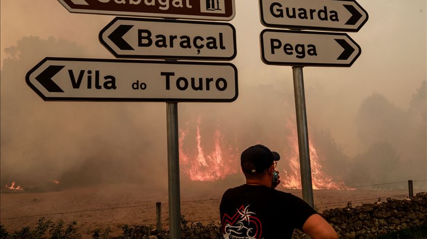 Incêndios: Um ferido grave com queimaduras no Sabugal