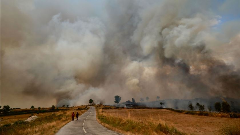 Incêndios: Morreu esta madrugada homem ferido no fogo do Sabugal