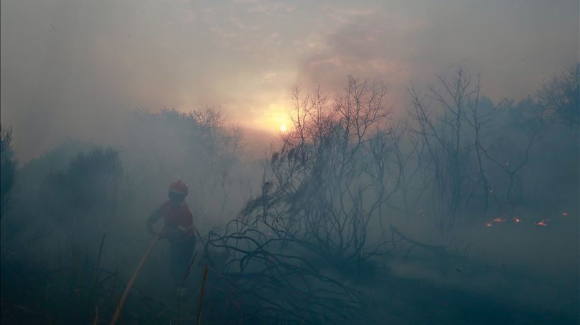 Idoso suspeito de pôr fogo "nas costas" de bombeiros na Mêda detido pela PJ