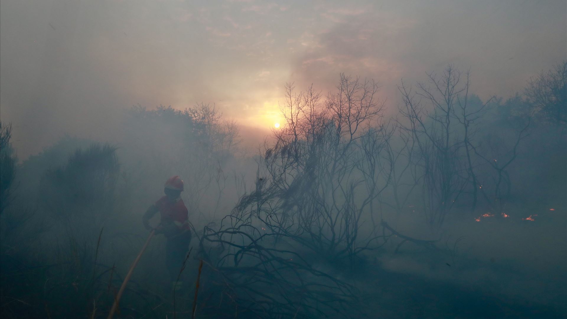 ​Linha da Beira Baixa, A23 e EN18 cortadas devido aos incêndios