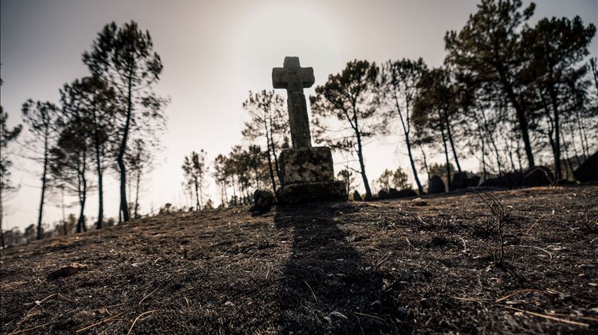 Vigilantes da natureza pedem ao Governo que retome processo de revisão das carreiras