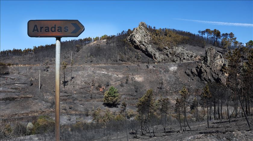 ​Incêndios: Empresários pedem rapidez e ausência de burocracia nos apoios