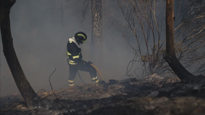 Fogo chegou às partes mais altas da Serra da Estrela