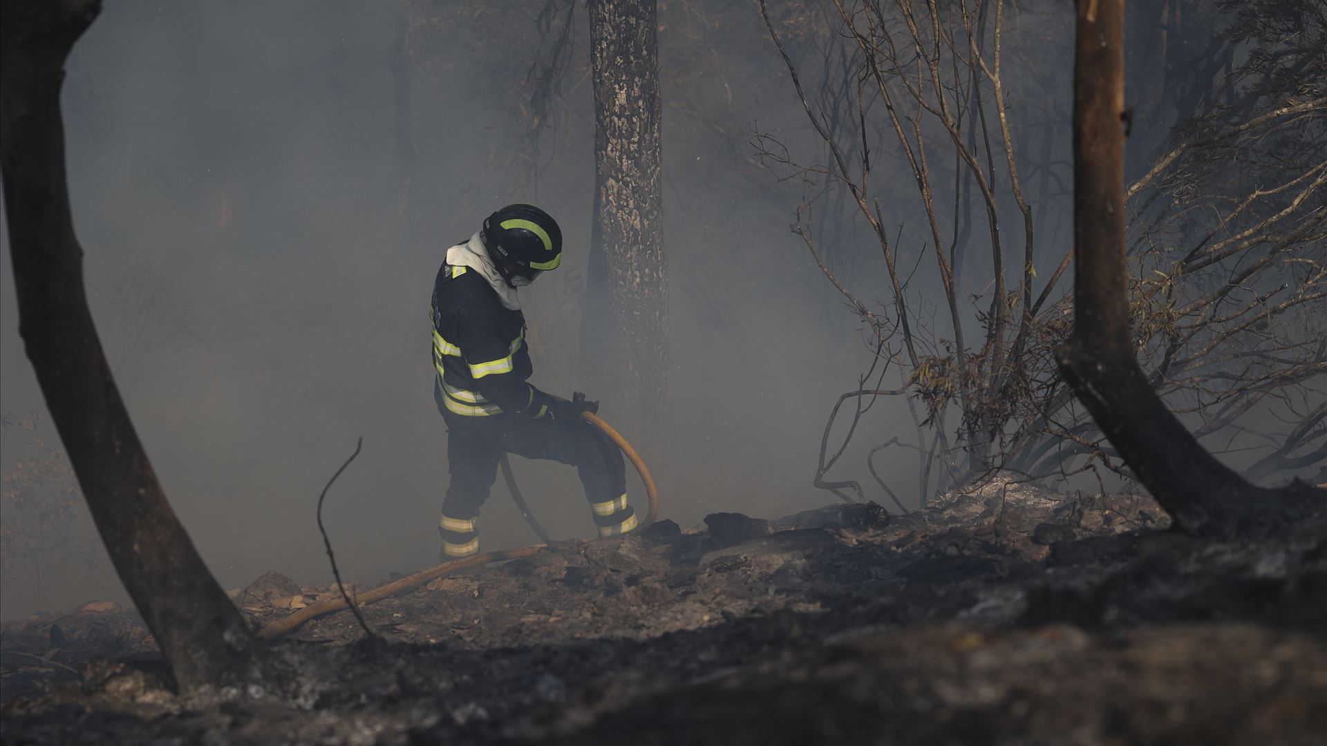 PJ detém idoso suspeito de atear fogo em Alvaiázere com chama direta