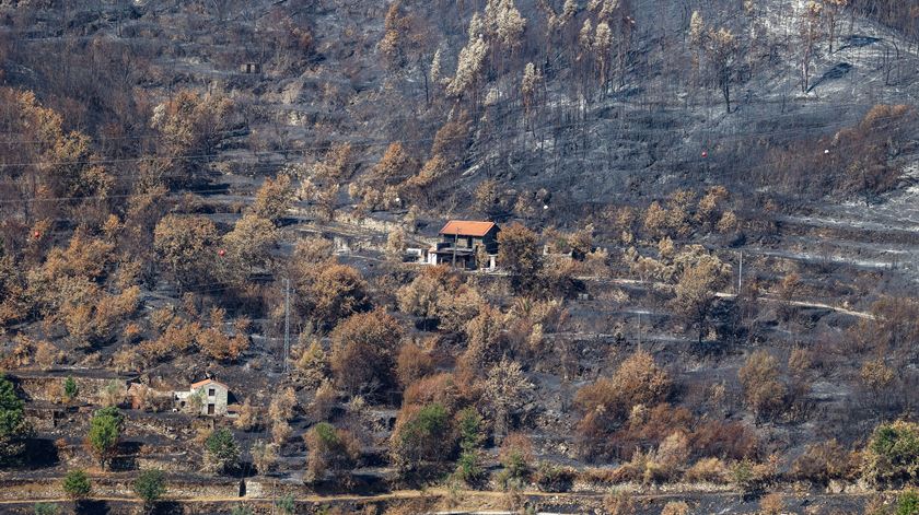 Incêndios: Apoios do Governo abrangem período de 26 de julho a 27 de agosto e 73 concelhos