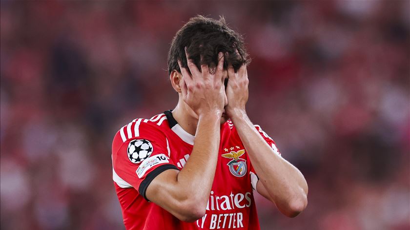 APAF faz participação ao Conselho de Disciplina da FPF contra António Silva