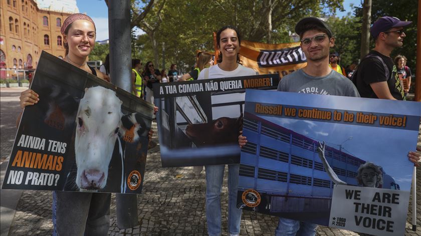 Cerca de uma centena marcha em Lisboa pelos direitos de "todos os animais"