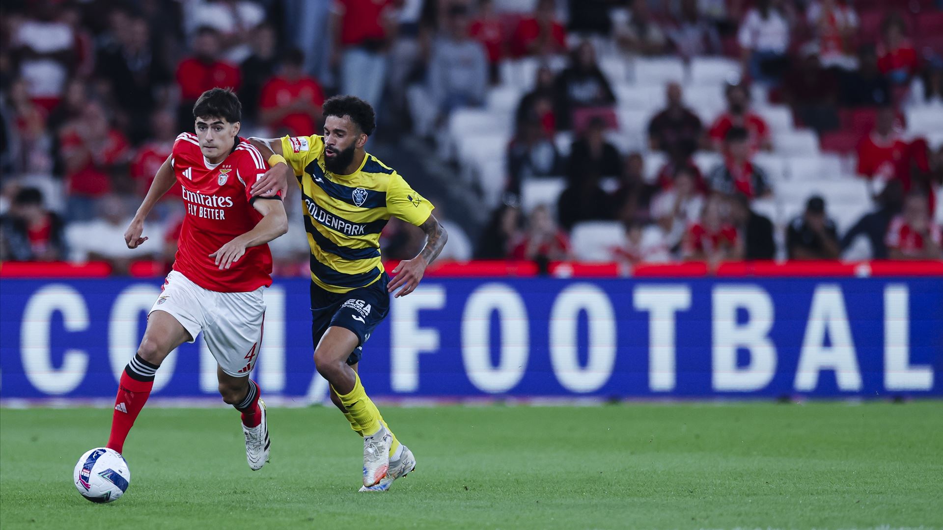 APAF faz participação ao Conselho de Disciplina da FPF contra António Silva