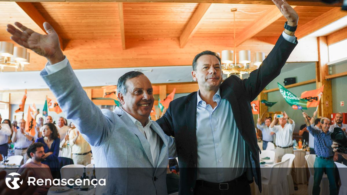 “Foi juntar o útil ao agradável”: o PSD em Castelo Branco aposta no ...
