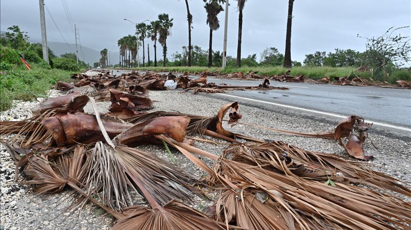 Papa lembra “milhares de desalojados” e destruição provocada pelo furacão Melissa
