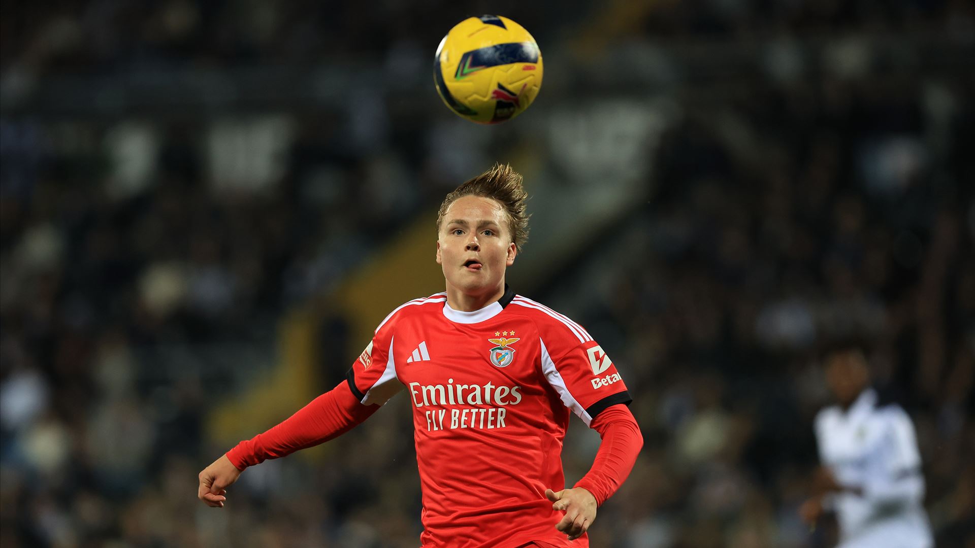 Schjelderup revela que deverá ser condenado por partilha de vídeos sexuais a envolver menores