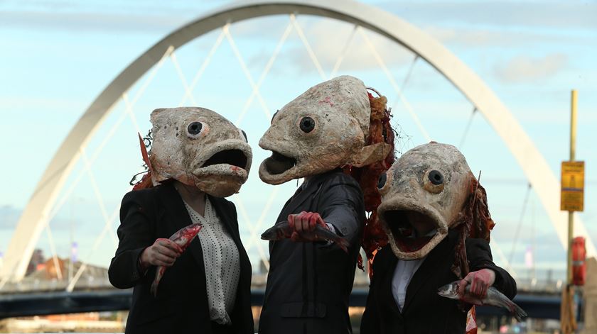 Glossário para a COP30. O que é o mercado do carbono? E o protocolo de Quioto?