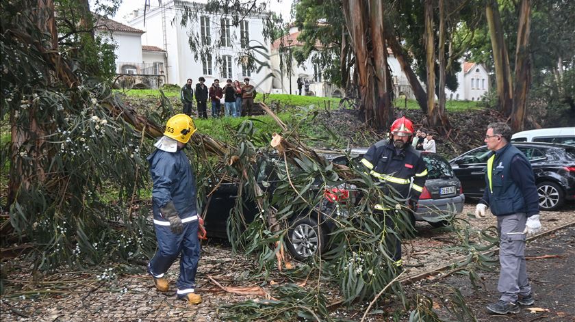 Henrique Raposo critica dramatização mediática do mau tempo: “Temos de acabar com o apocalipse”