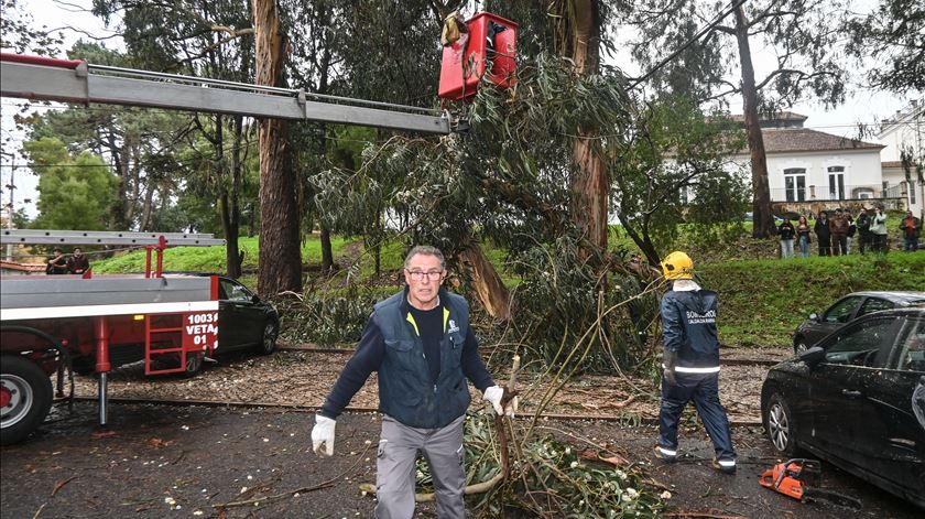 Proteção Civil a retirar troncos que caíram por cima de carros, nas Caldas da Rainha. Foto: Carlos Barroso/Lusa
