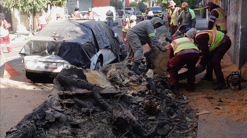 Sismo de magnitude 6.3 desperta Cidade do México