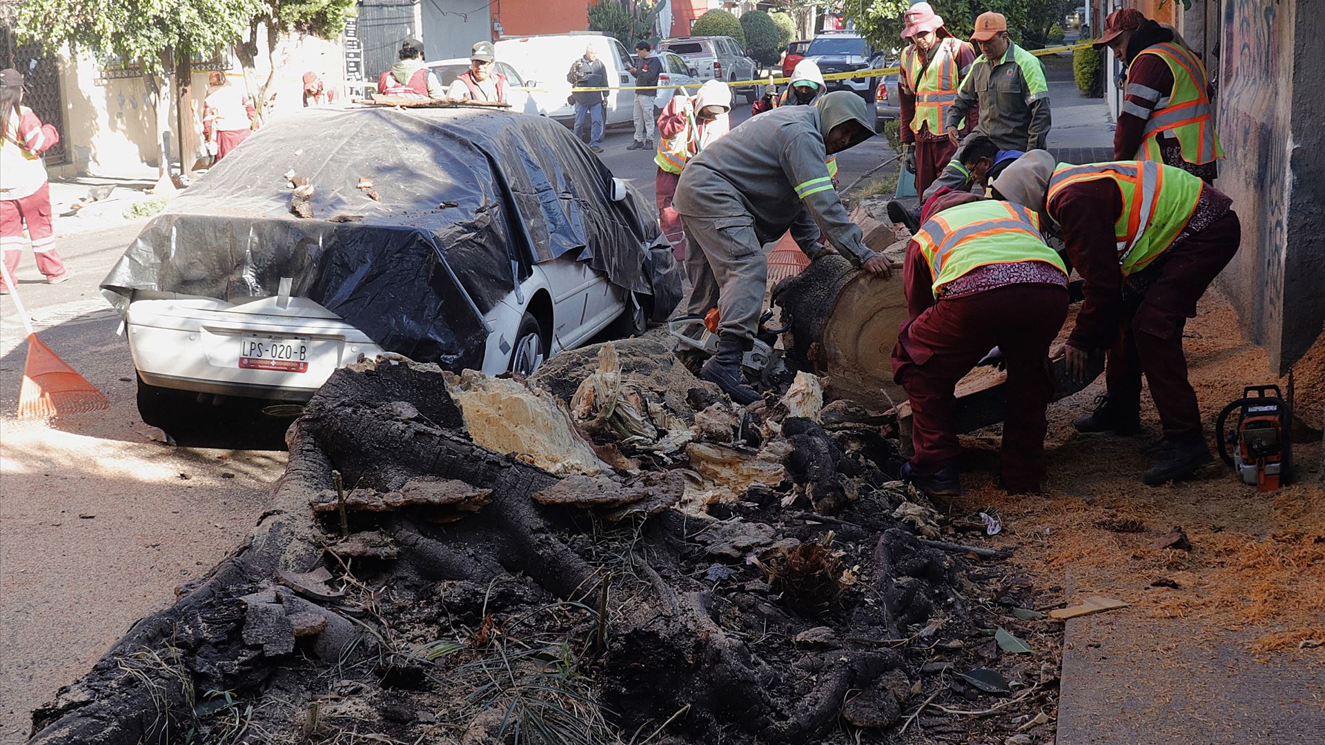 Močan potres stresel južni in osrednji del Mehike