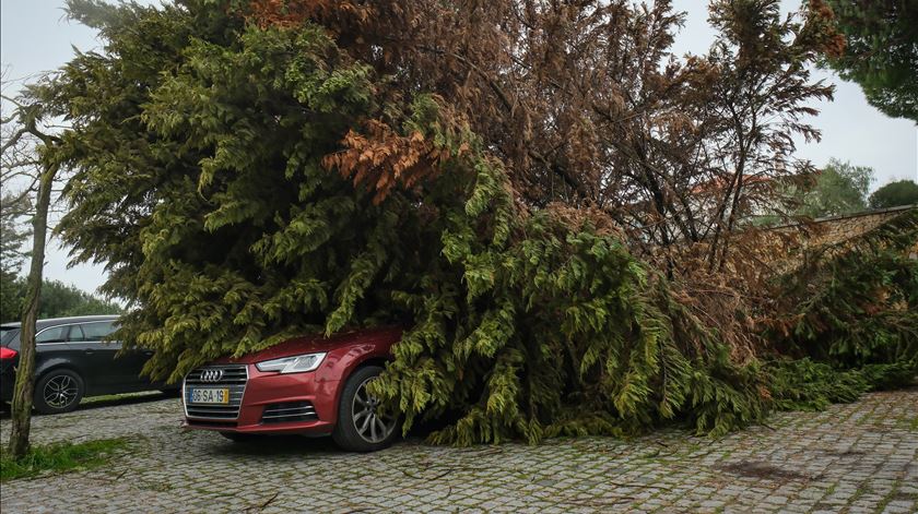 Mau tempo. "Houve danos excecionais que levaram à quebra das redundâncias"