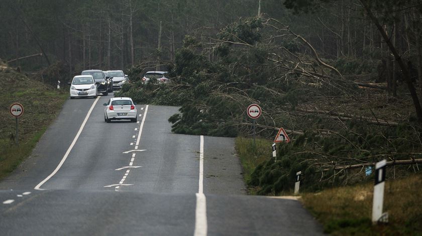 "Estamos isolados do mundo". Autarca da Marinha Grande lança apelo