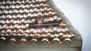 Mau tempo. Cáritas de Leiria-Fátima pede "fogões de campismo" para ajudar famílias