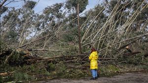 Ourém. “Penso que vai demorar meses — para não dizer anos — até voltarmos à normalidade”