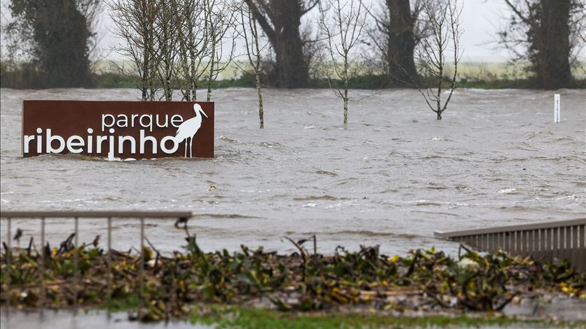 Há 318 unidades de turismo para receber desalojados das cheias