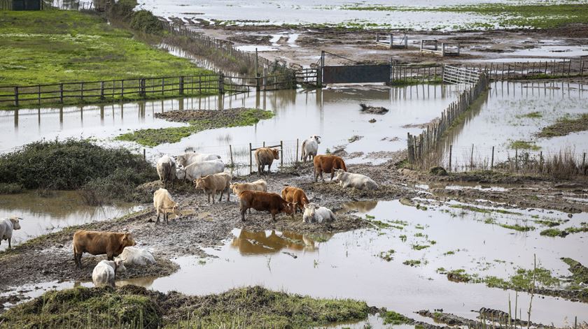 Autarca da Azambuja alerta para degradação das infraestruturas agrícolas