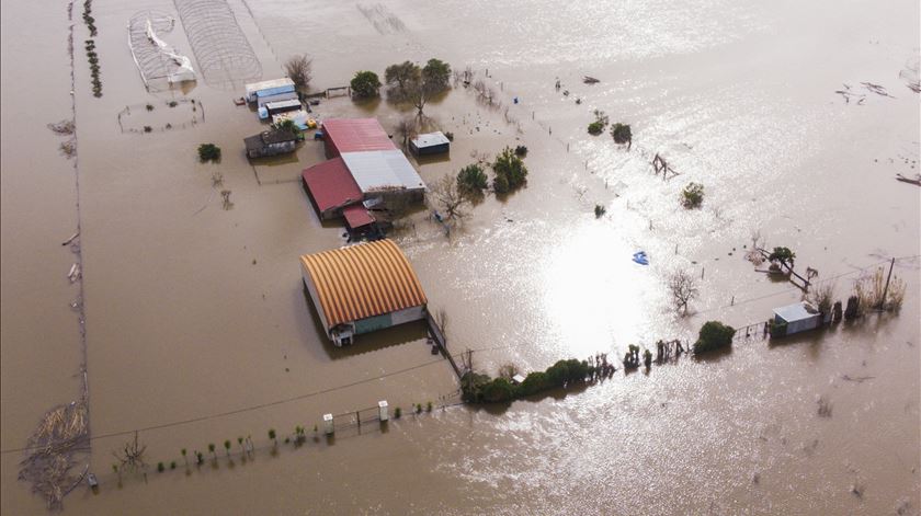 Autarca de Coimbra admite "cheia centenária"