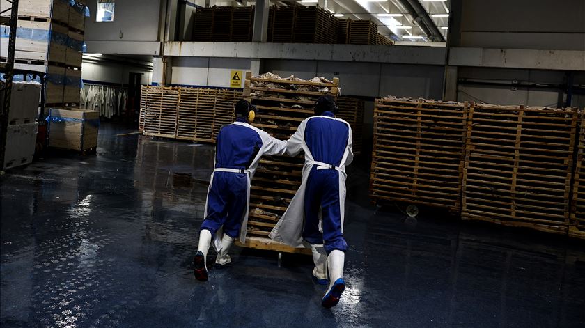 Pacote laboral: ACEGE pede debate "sem visões ideológicas"