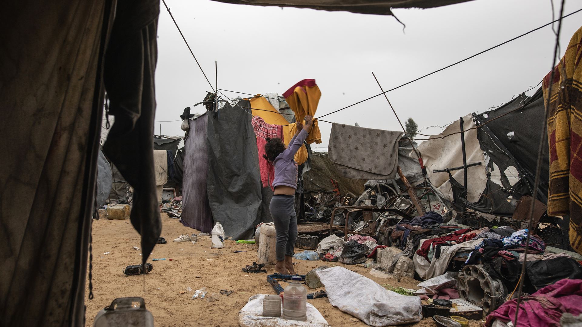 Médico da Cáritas alerta para crise sanitária em Gaza provocada por infestação de ratos
