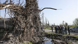 "Não pode ficar tudo na mesma" após mau tempo. Seguro pede rapidez nos apoios