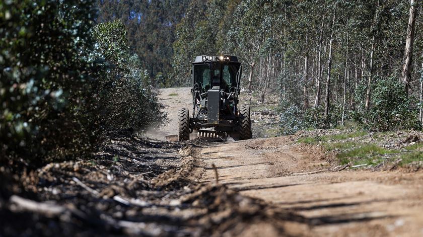 Prazo para limpeza dos terrenos vai ser alargado até 30 de junho