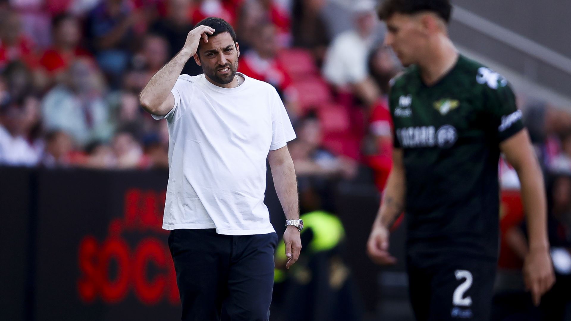 Botelho da Costa. Derrota na Luz é “difícil de aceitar”