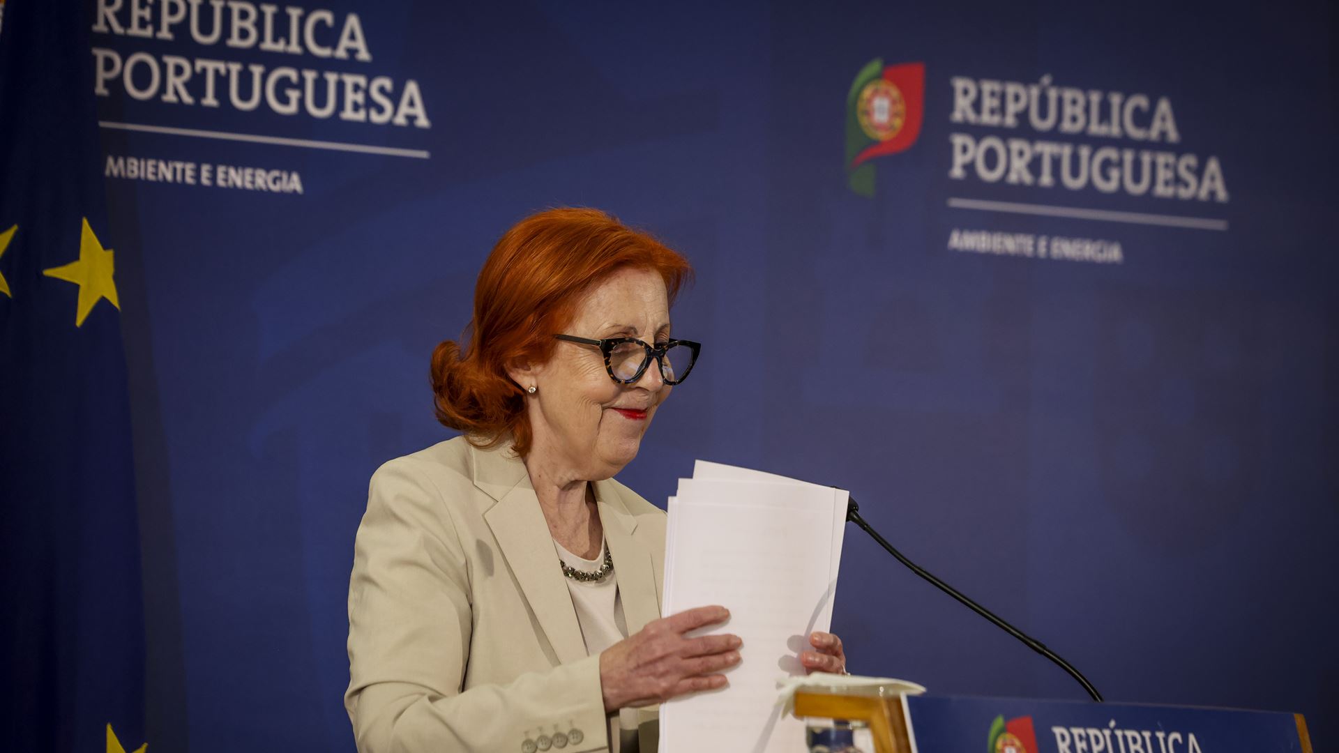 Relatório sobre apagão. Sistema elétrico robusto, mas é necessário investimento