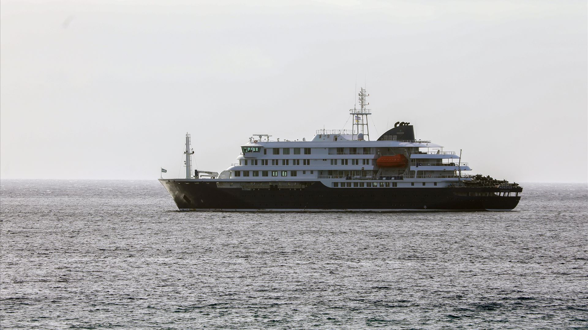 DGS acompanha surto de hantavírus em navio que classifica de 