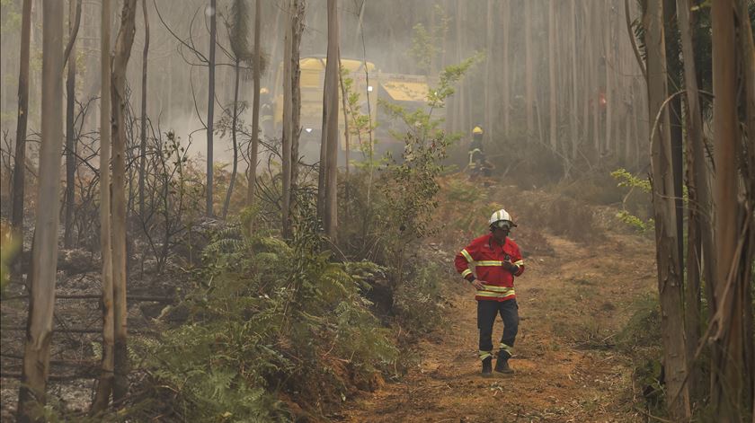 Aldeia no Caramulo evacuada devido a incêndio Aldeia no Caramulo evacuada devido a incêndio