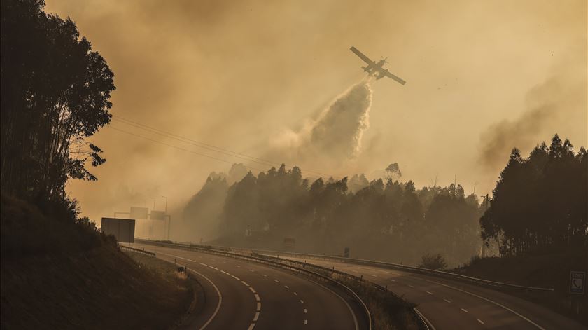 🔴Fogos ao minuto: Portugal pede ajuda à Europa, DGS eleva risco para a saúde