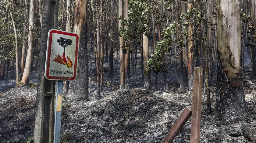 "Incêndios extremos" responsáveis por 91% da área ardida em 2025