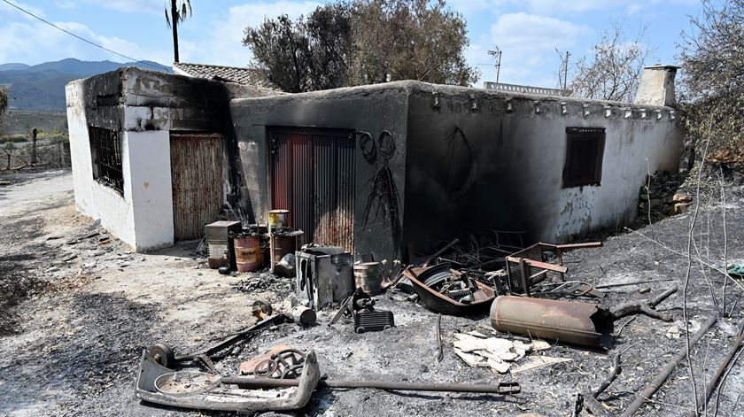 Buscas "palmo a palmo" é a estratégia para procurar os desaparecidos dos incêndios